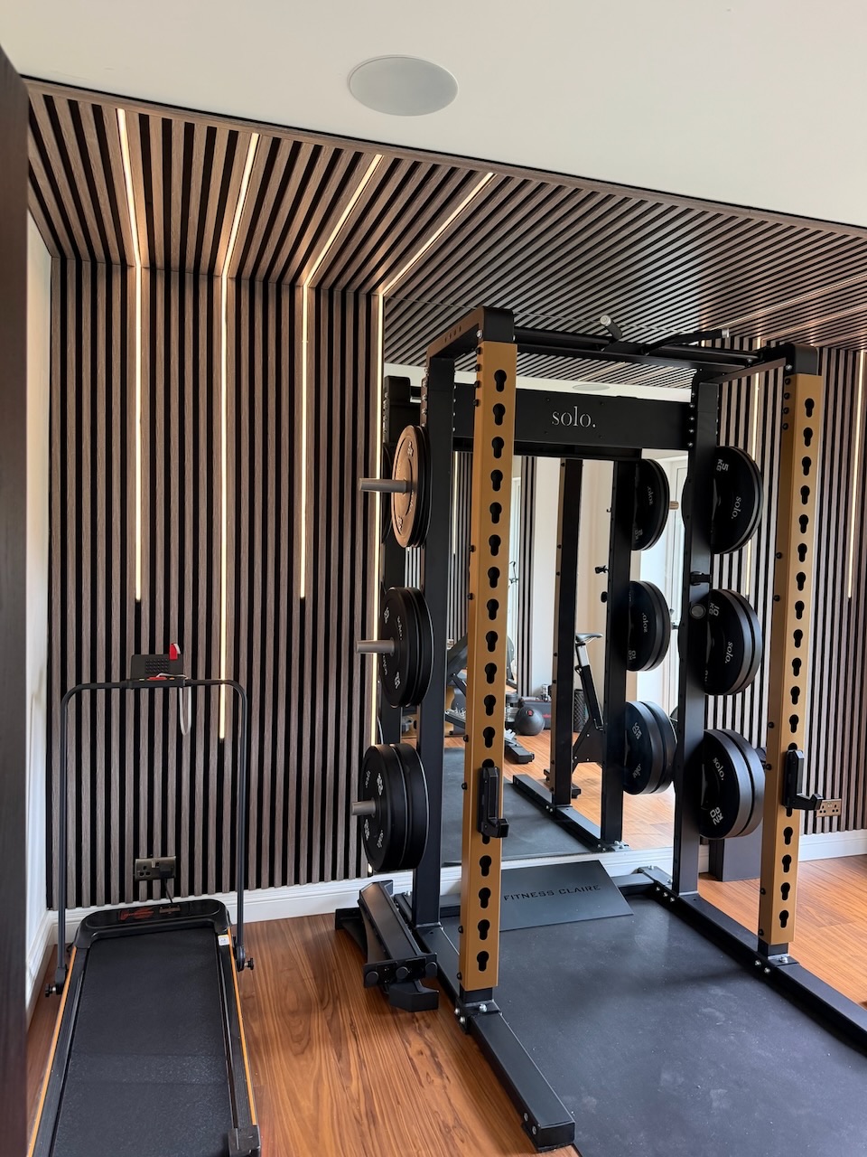 Home gym with vertical LED strip lighting in slatted wall panels and ceiling speaker, Westby, Lytham — Wilsons Systems